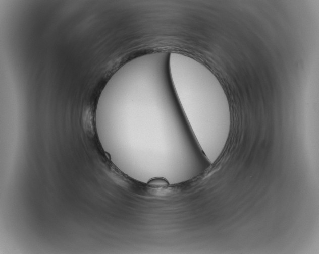 X0000114640575200910200943