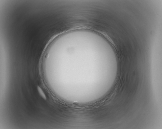 X0000114640579200910200942