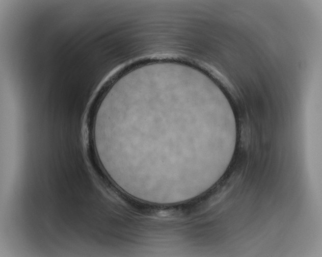 X0000114640584200910200942