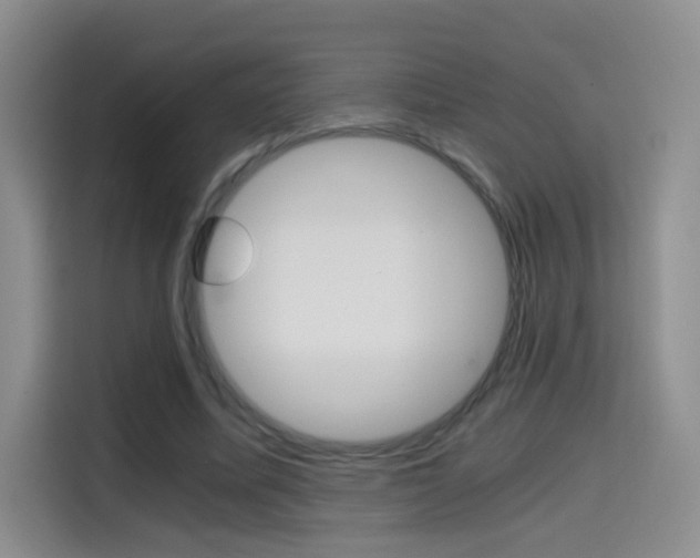 X0000114640587200910200942