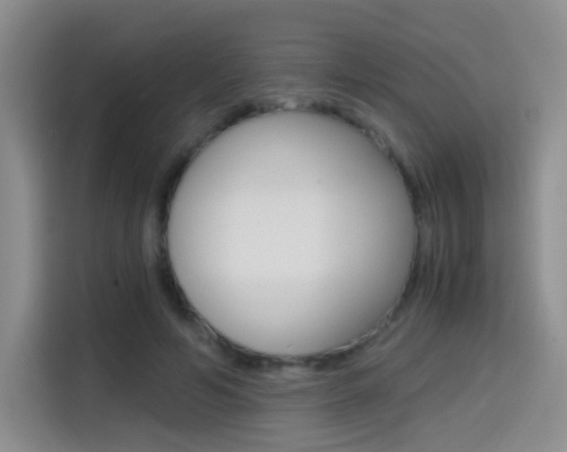 X0000114640594200910200942