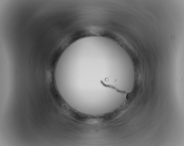 X0000114640595200910200942