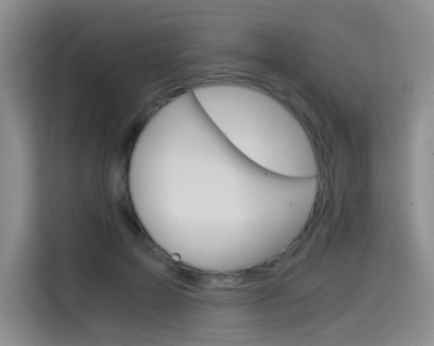 X0000114640599200910200942