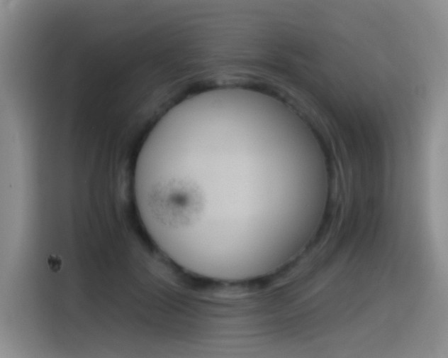 X0000114640604200910200942