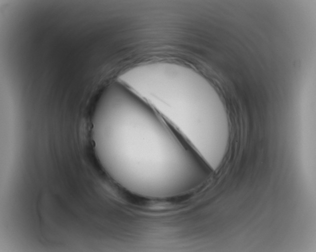 X0000114640605200910200942