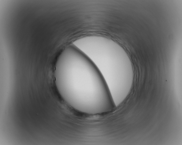 X0000114640609200910200942