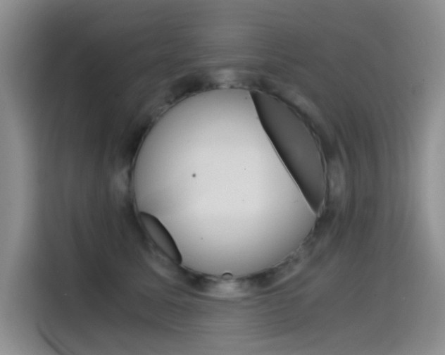 X0000114640611200910200942