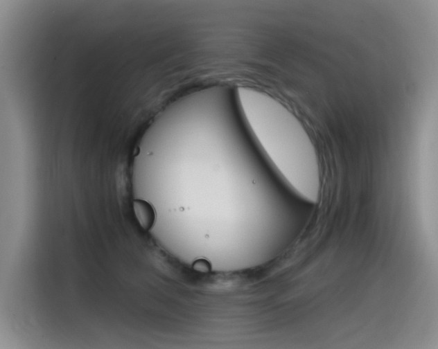 X0000114640612200910200942