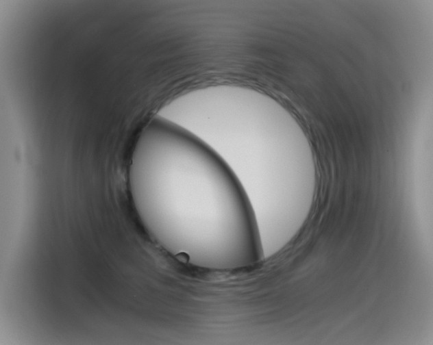 X0000114640613200910200942