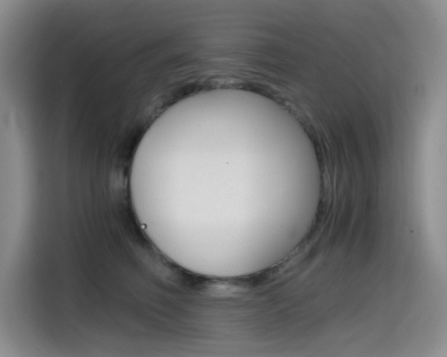 X0000114640614200910200942