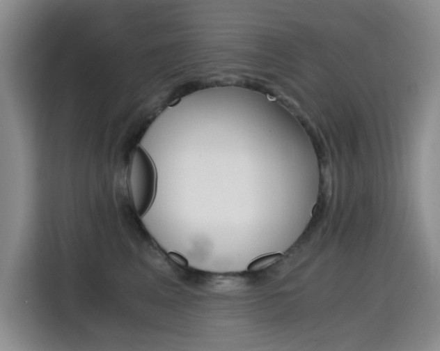 X0000114640617200910200942