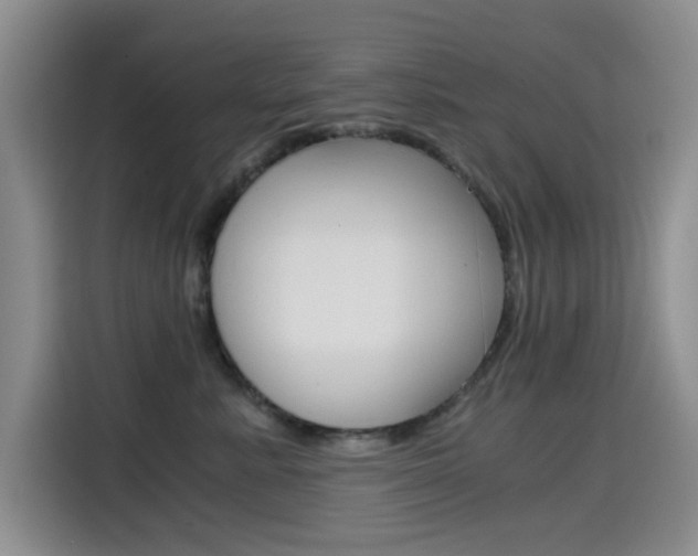 X0000114640619200910200942