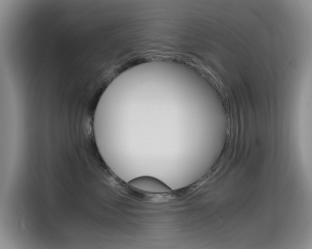 X0000114640621200910200942
