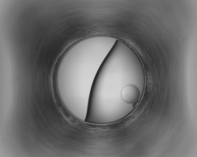 X0000114640626200910200941