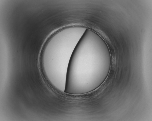 X0000114640628200910200941