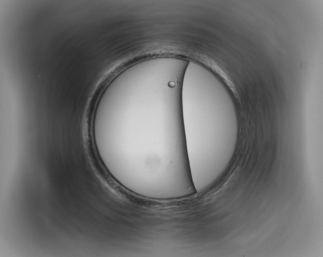 X0000114640629200910200941