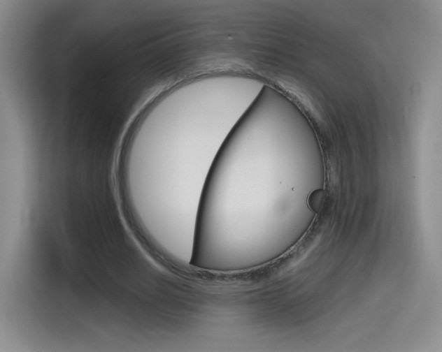 X0000114640630200910200941