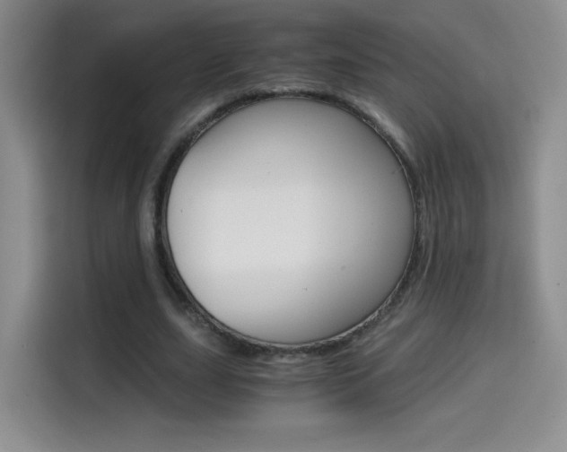 X0000114640631200910200941