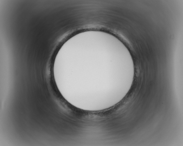 X0000114640632200910200941