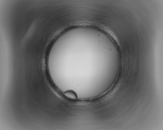 X0000114640633200910200941