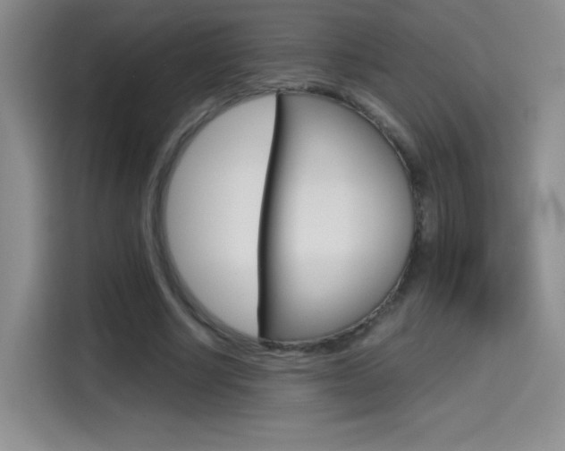 X0000114640634200910200941