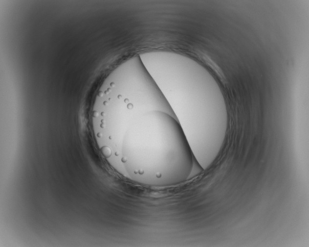 X0000114640635200910200941