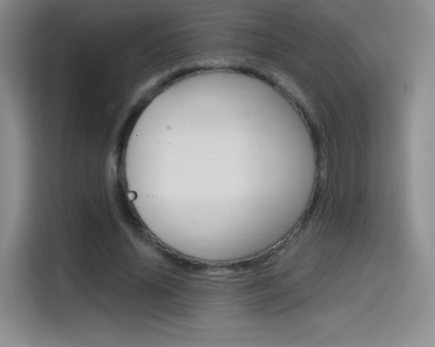 X0000114640636200910200941