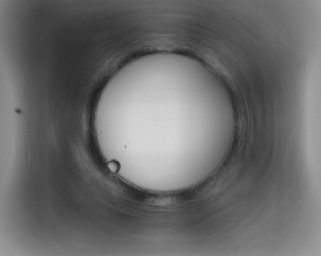 X0000114640639200910200941