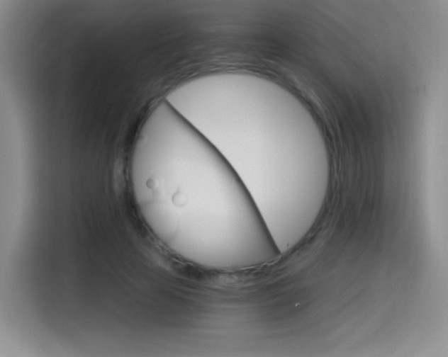 X0000114640641200910200941