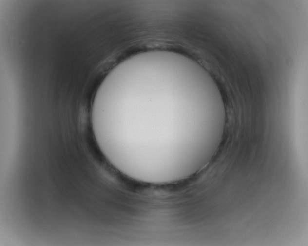 X0000114640648200910200941