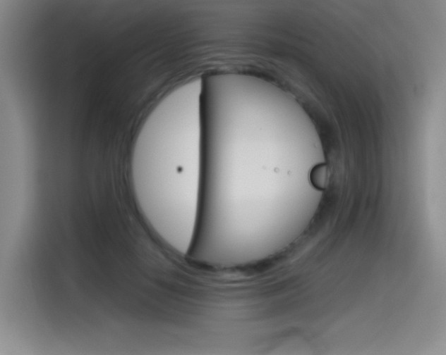 X0000114640650200910200941