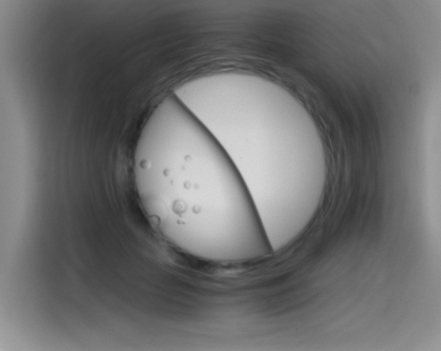 X0000114640653200910200942
