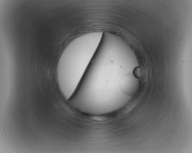 X0000114640654200910200942