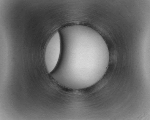X0000114640656200910200942