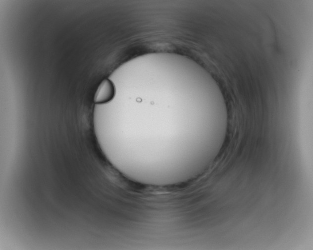 X0000114640658200910200942