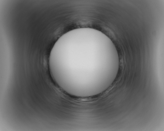 X0000114640662200910200942