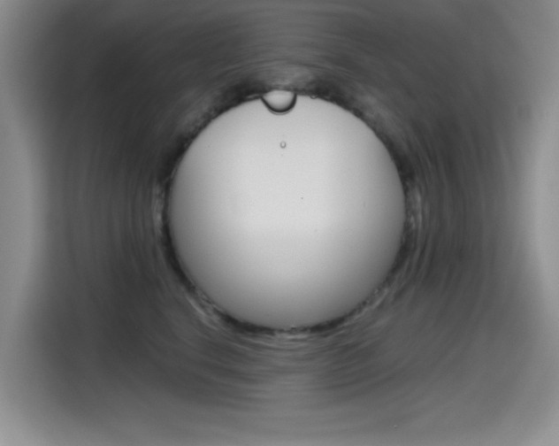 X0000114640664200910200942
