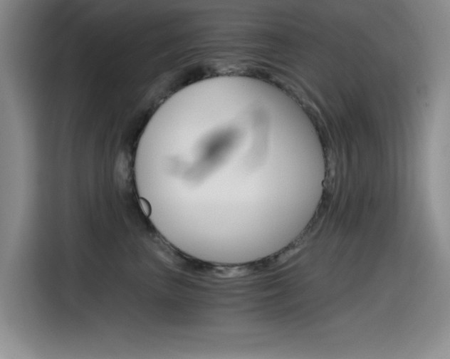 X0000114640667200910200942