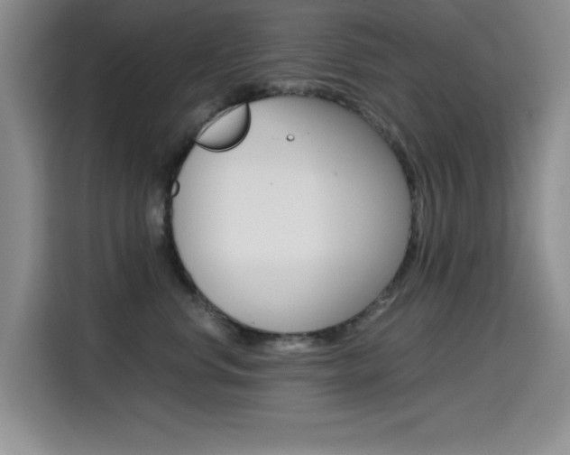 X0000114640668200910200942