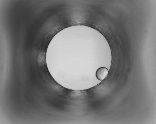 X0000114640672200910200942