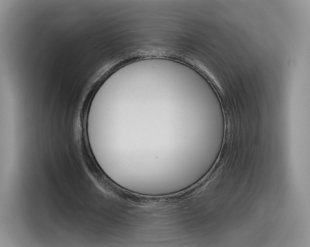 X0000114640674200910200941