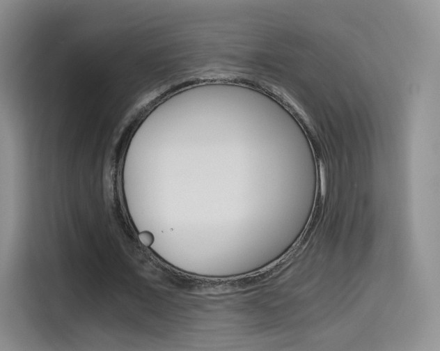 X0000114640675200910200941