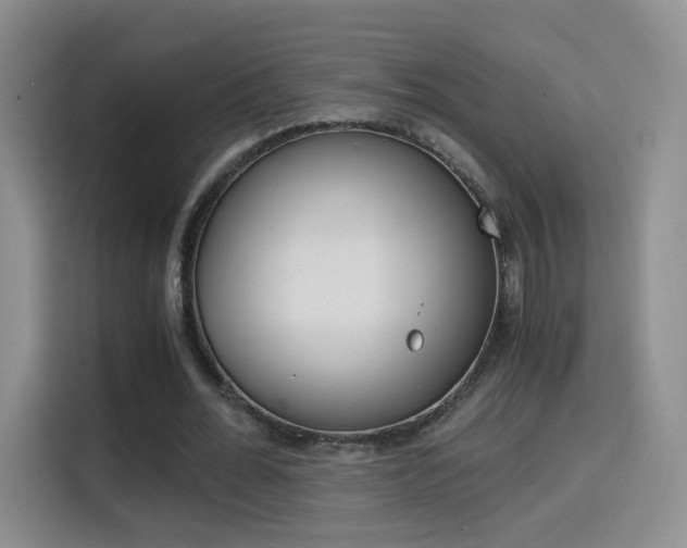 X0000114640676200910200941