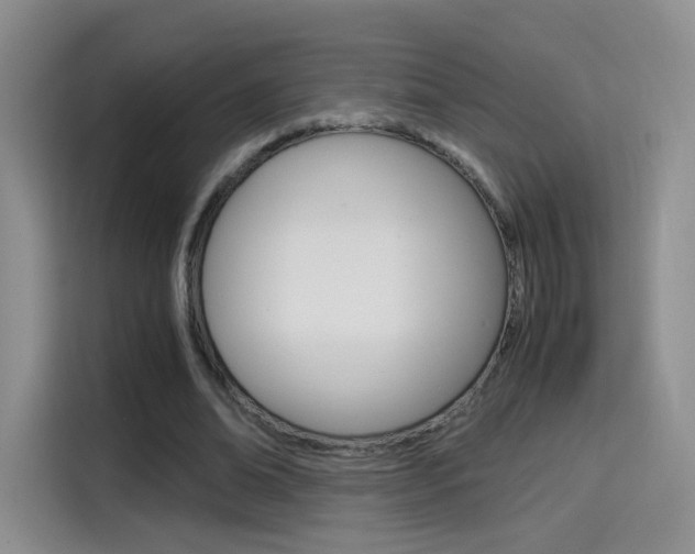 X0000114640678200910200941