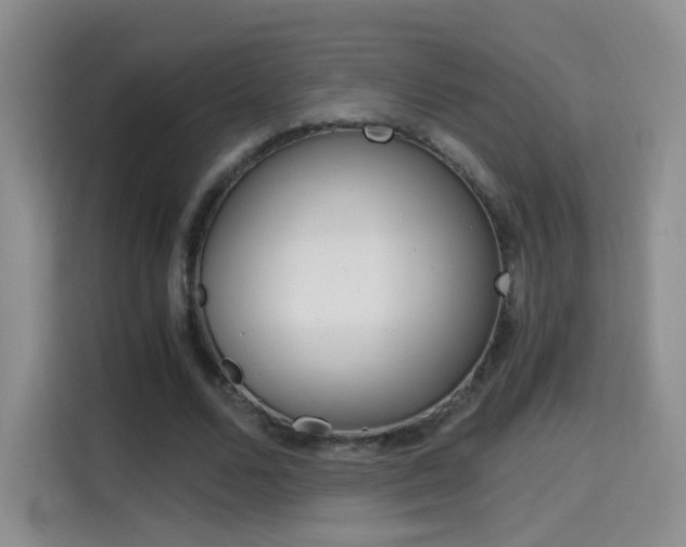 X0000114640680200910200941