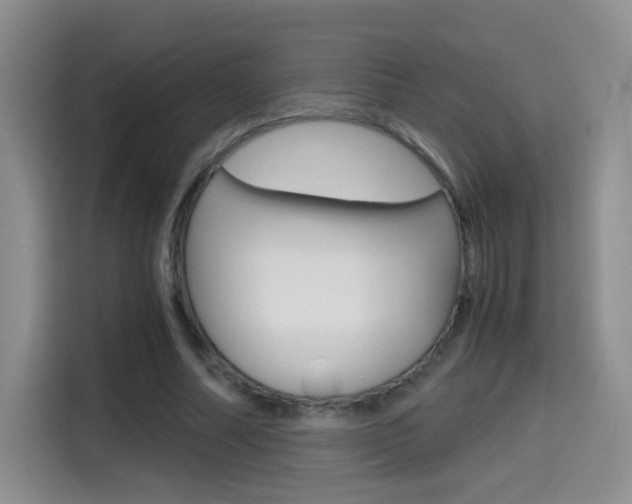 X0000114640682200910200941