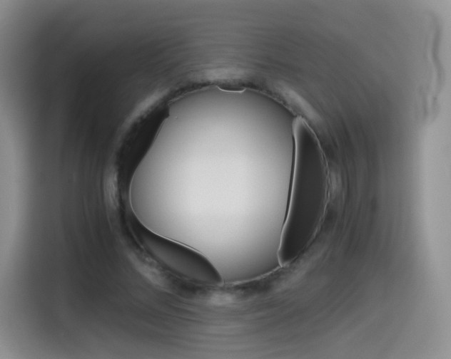 X0000114640684200910200941