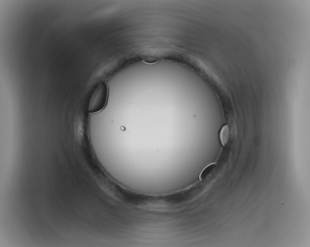 X0000114640685200910200941