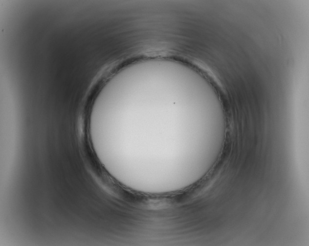 X0000114640686200910200941