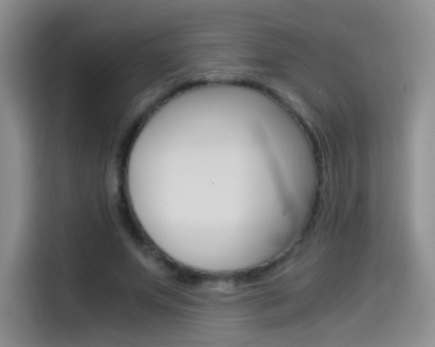 X0000114640687200910200941